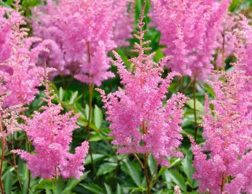 为什么湿疹反复发作