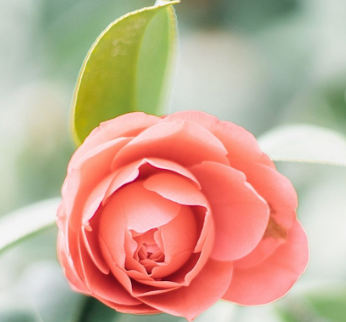 湿疹对皮肤有什么危害