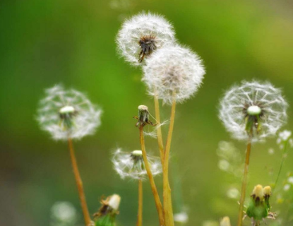 为什么说湿疹患者应该注意休息