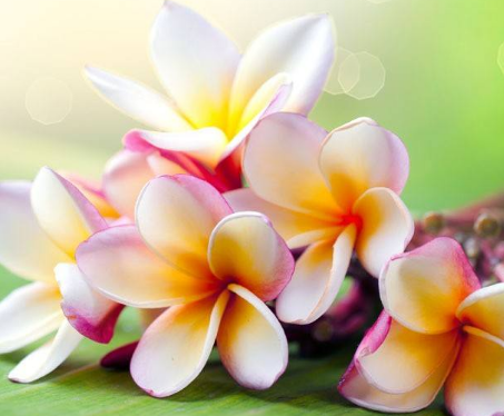 牛皮癣患者冬季皮肤干燥怎么办