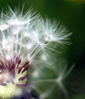 皮肤过敏怎样形成