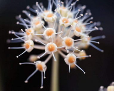 出现手足癣后要特别注意什么